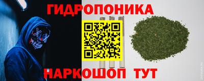 стафф Бузулук