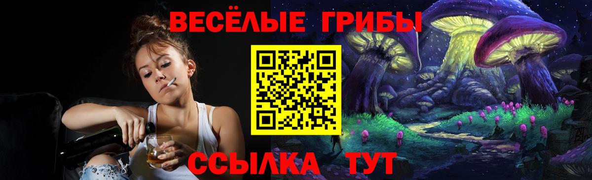 Псилоцибиновые грибы Psilocybine cubensis  Псилоцибиновые грибы Magic Shrooms  Вологда  Вход с VPN 